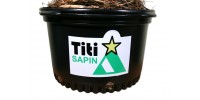   Le Titi Sapin